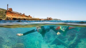Moreton Island Tour