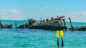 moreton bay