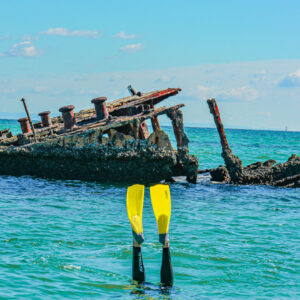 tangalooma wrecks