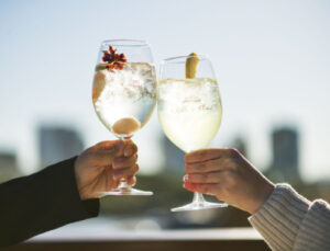 Brisbane Cocktail Cruise