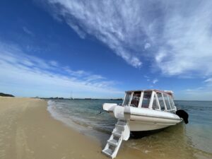 Bottlenose Private Boat Charter