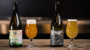 Ballistic Brewing Co - Brisbane Brewery Tours 3