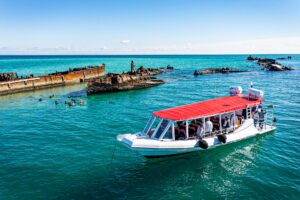 River To Bay Best of Moreton Bay Tour