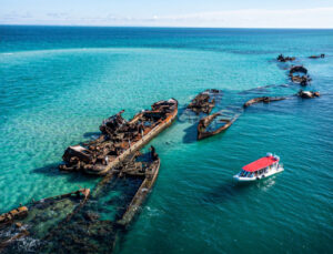 Moreton Bay Tour - Island Tour - Father's Day Special - River To Bay