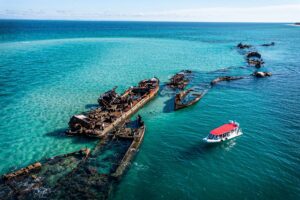 Moreton Bay Tour - Island Tour - River To Bay