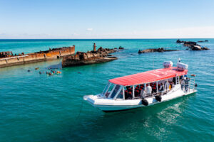 River To Bay Best of Moreton Bay Tour