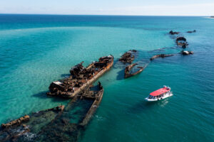 River To Bay Moreton Bay Tour