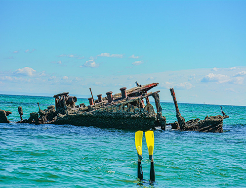 snorkle-version-2 Moreton Island Tour Gift Voucher
