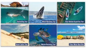 Tangalooma Day Cruise Additional Activities