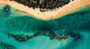 Best of Moreton Bay Tour