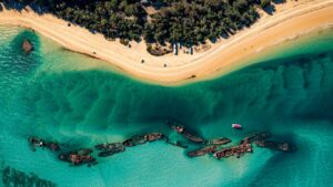 Best of Moreton Bay Tour
