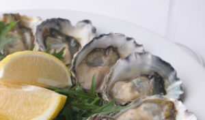 Brisbane Moreton Rock Oyster Farm