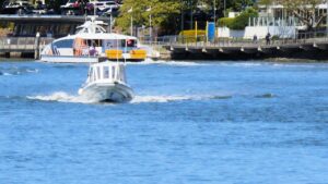 Cobia Private Boat Charter