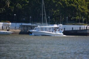 Leatherback Private Boat Charter