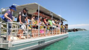 Tangalooma Fish Feeding Marine Discovery