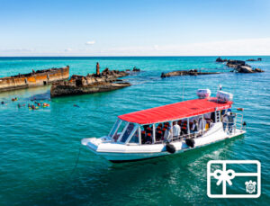 Best of Moreton Bay Gift Voucher - River to Bay