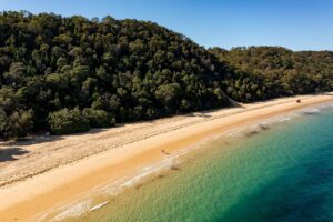 Moreton Bay Island Tour