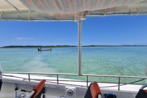 Brisbane Oyster Farm Tour