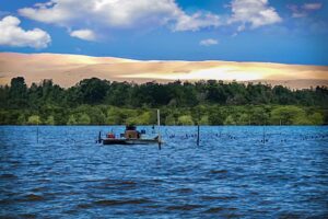 Brisbane Oyster Farm Tour