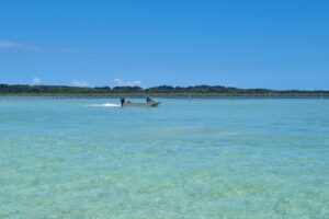 Champagne and Oyster Tour in Brisbane