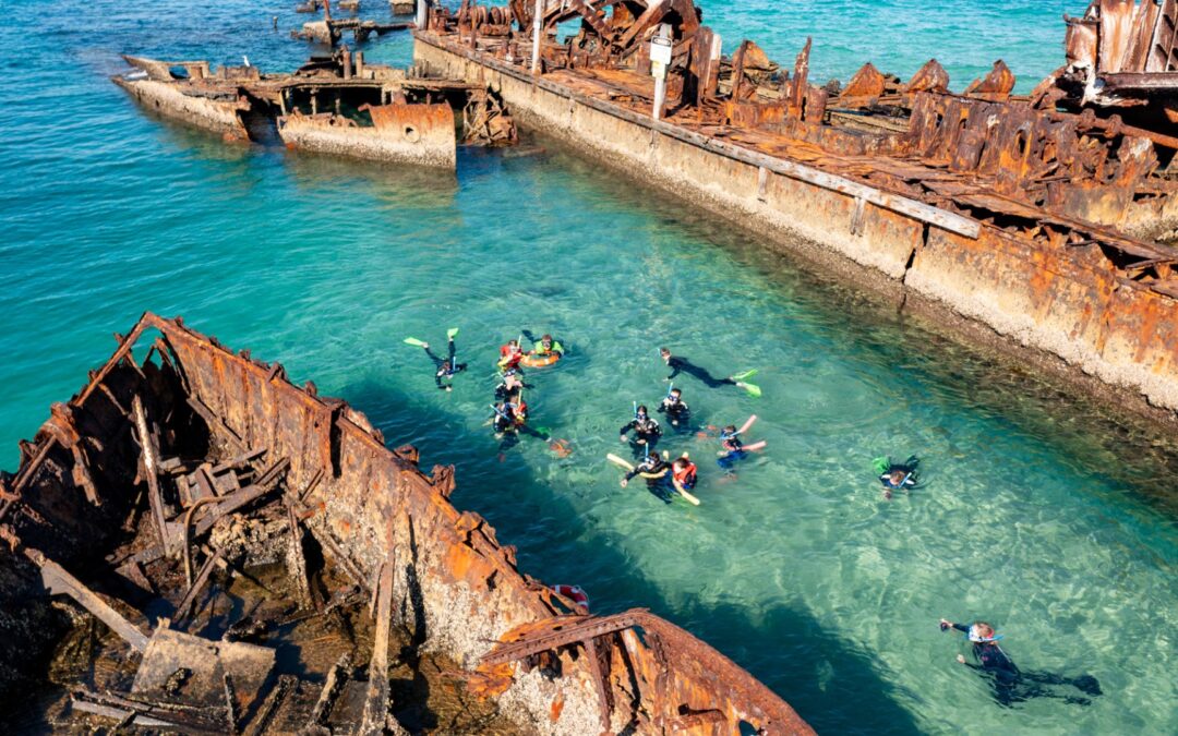 Tangalooma Wrecks Guided Snorkel from Redcliffe & Sandstone Point
