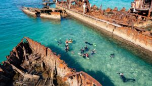 Tangalooma Wrecks Guided Snorkelling Tour