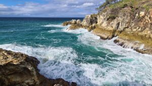 Stradbroke Island Trip with River to Bay