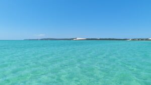Champagne and Oyster Cruise in Moreton Bay