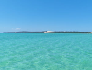 Champagne and Oyster Day Tour in Moreton Bay