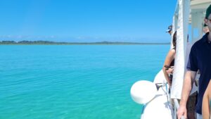 Champagne and Oyster Tour in Moreton Bay