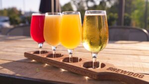 Day Brewery Tour - Brewdog