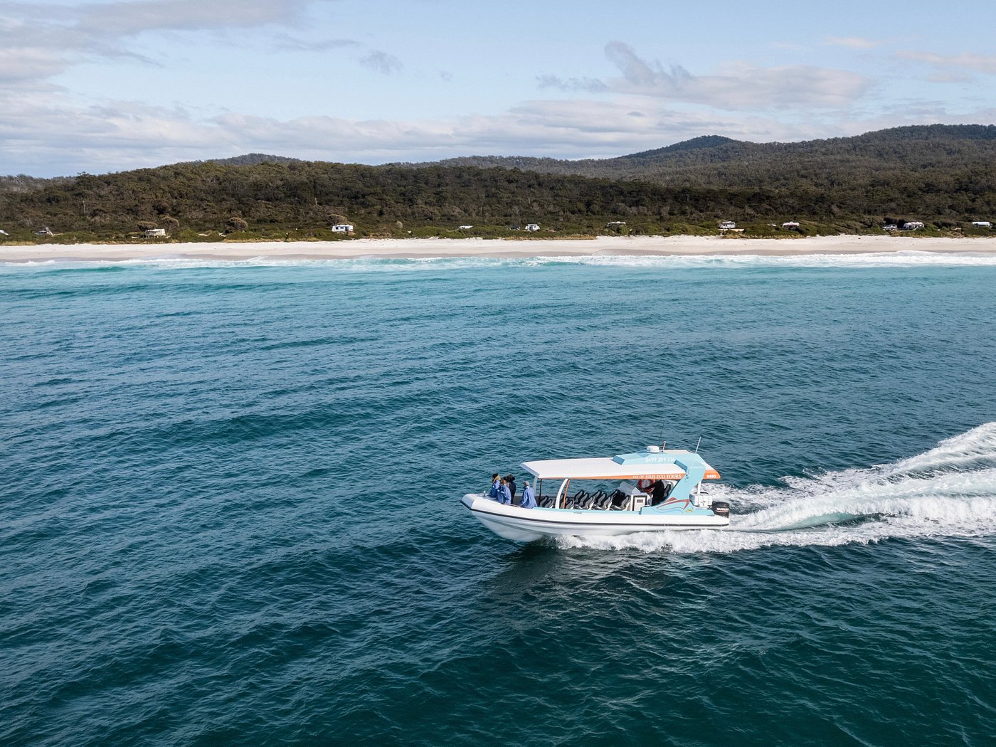 Boat for Hire Bottlenose