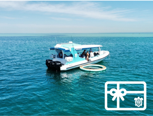 Gift Voucher Gift Voucher River to Bay