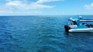 Kite Island Moreton Bay
